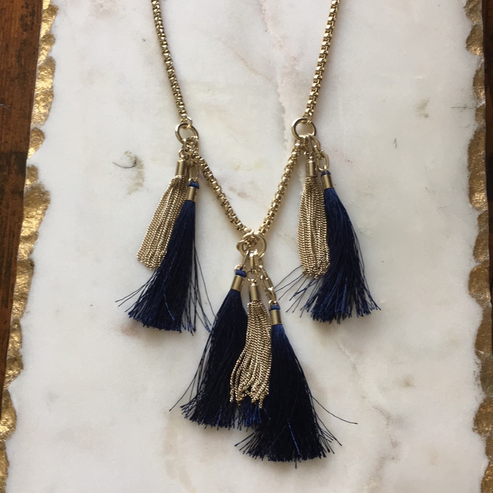 NWT Ann Taylor Tassel Necklace